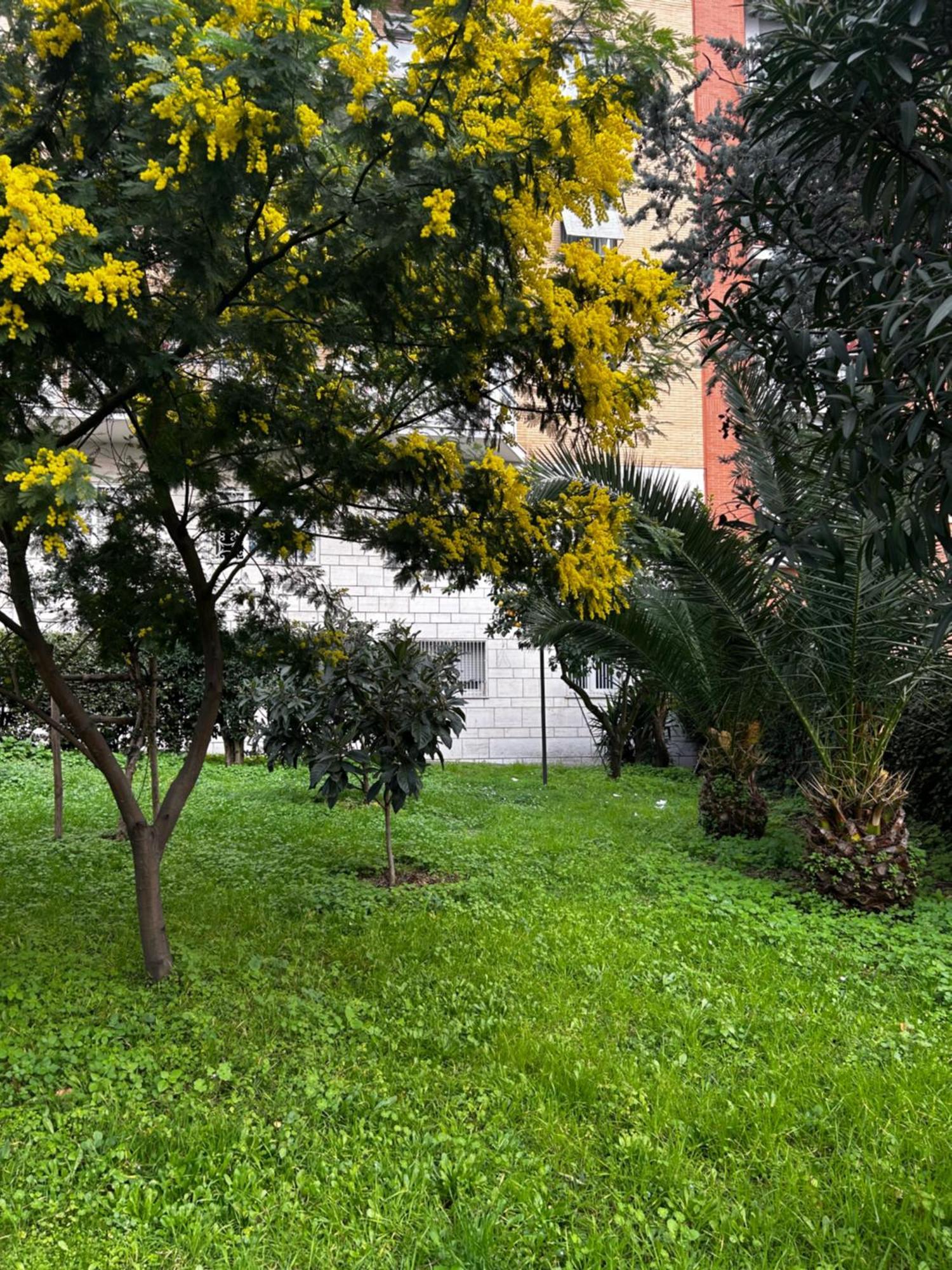 Bam Bam Tiburtina Guesthouse ローマ エクステリア 写真